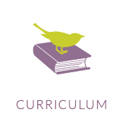 curriculum