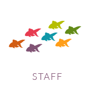 staff